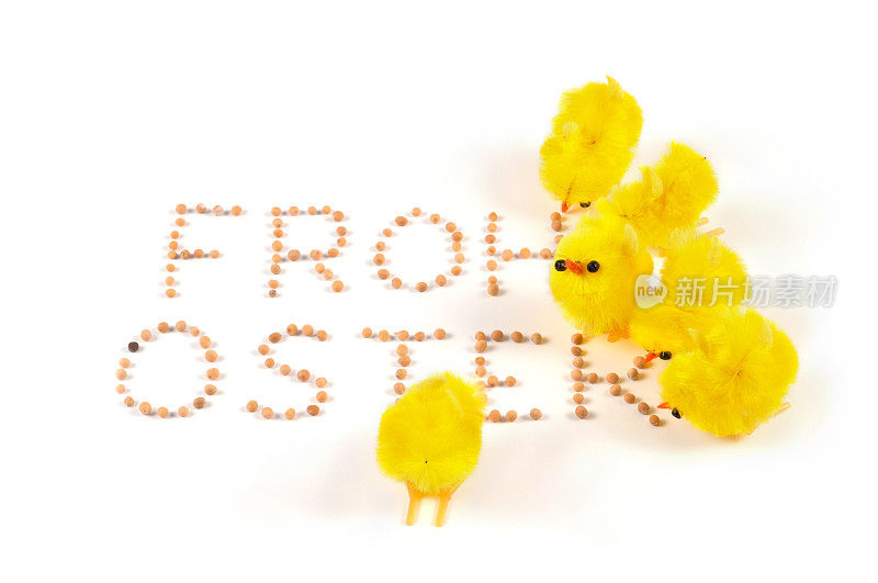 毛茸茸的复活节鸡，用德语单词——Frohe Ostern